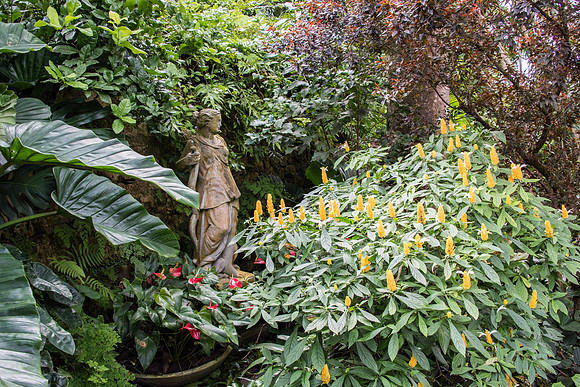Hunte's Gardens -3