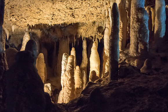 Harrison's Cave -2