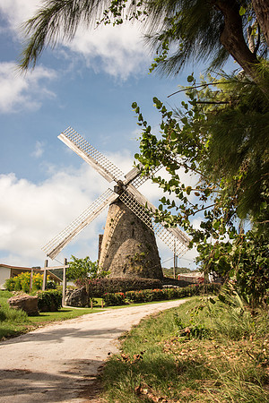 Old Windmill at Sugar Cane Farm