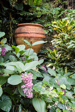 Hunte's Gardens -12