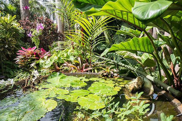 Hunte's Gardens -18