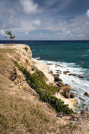 Cove Bay, East Coast -2