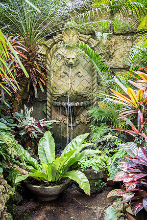 Hunte's Gardens -6