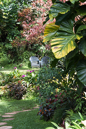 Hunte's Gardens -14