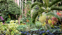 Hunte's Gardens -5