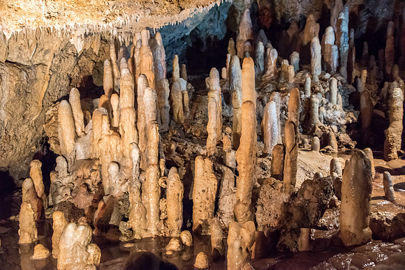 Harrison's Cave -1