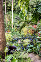 Hunte's Gardens -4