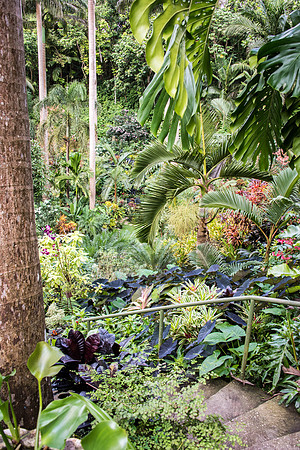 Hunte's Gardens -4