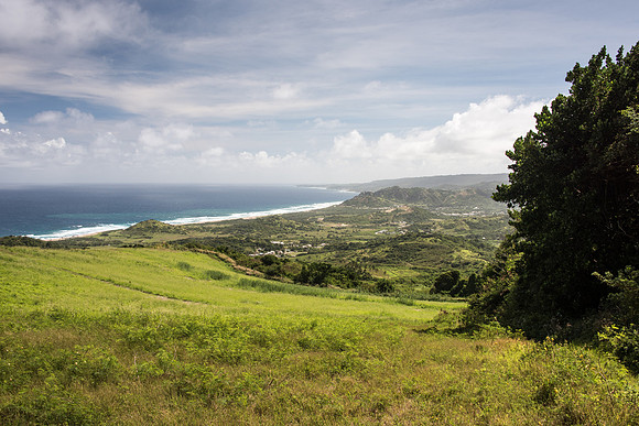Cherry Tree Hill
