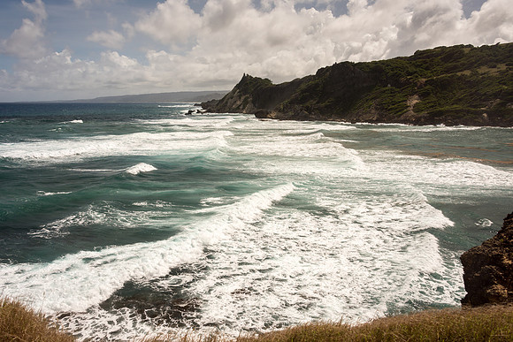 Cove Bay, East Coast -1
