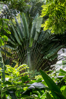 Flower Forest -8
