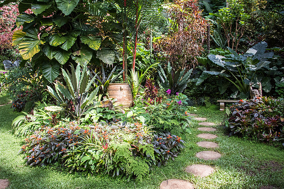 Hunte's Gardens -13