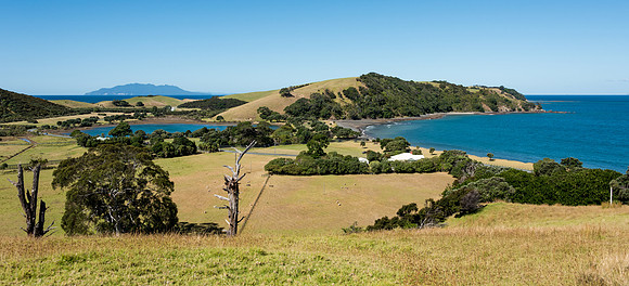 Whangarei -1