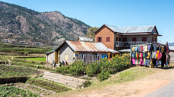 Rural Scene -3