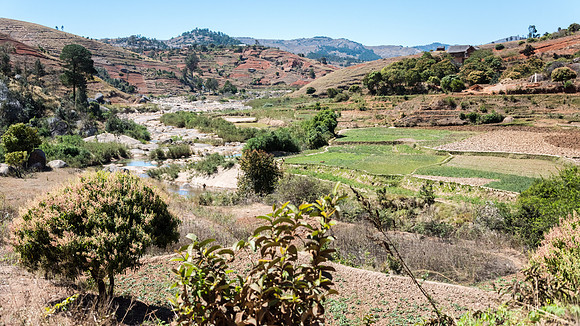 Rural Scene -9