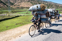 Charcoal Bags on Bycicles