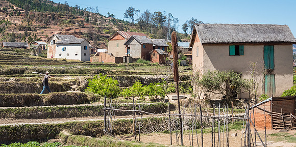Rural Scene -4