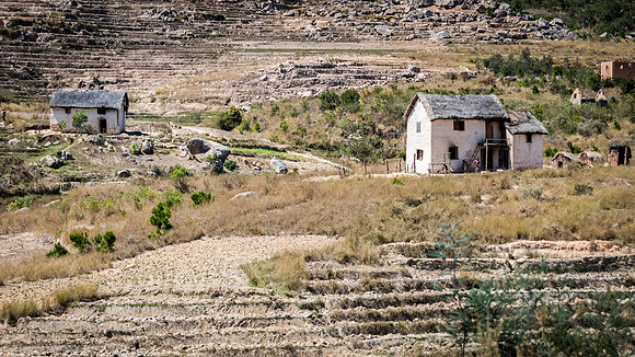 Rural Scene -5
