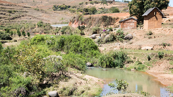 Rural Scene -10