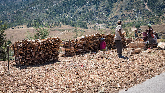 Selling Firewood