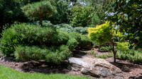 Japanese Garden Adelaide -4