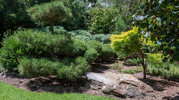 Japanese Garden Adelaide -4