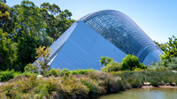 Adelaide Botanical Gardens -3