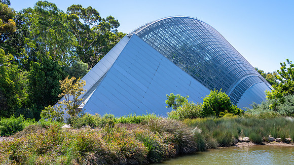 Adelaide Botanical Gardens -3