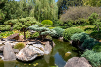 Japanese Garden Adelaide -2