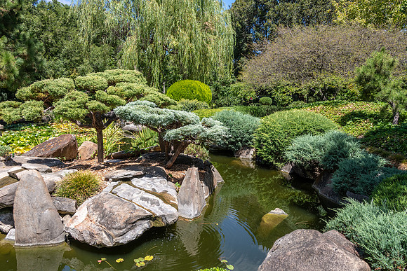 Japanese Garden Adelaide -2