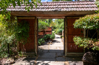Japanese Garden Adelaide -1