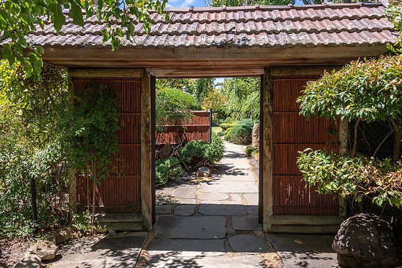 Japanese Garden Adelaide -1