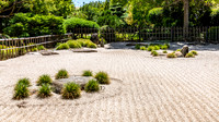 Japanese Garden Adelaide -3