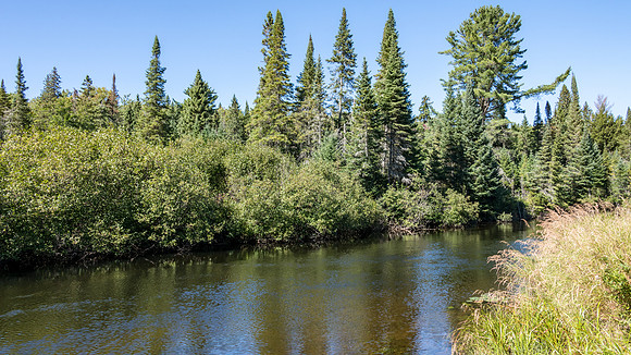 Oxtongue River - 3