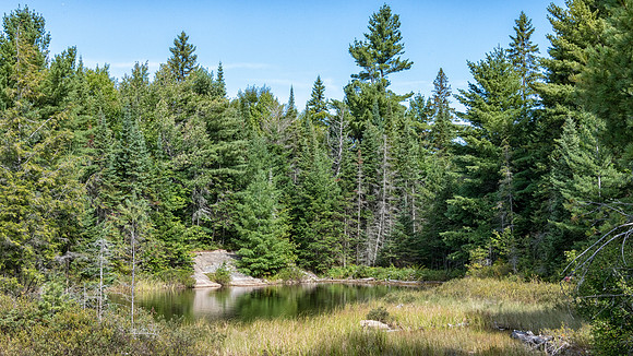 Peck Lake -2