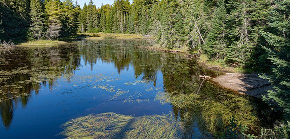 Algonquin Views - 5