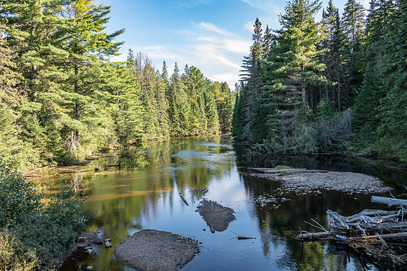 Algonquin Views - 6