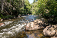 Whiskey Rapids -2