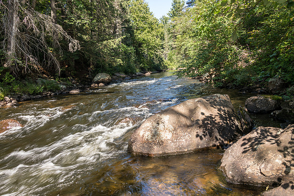 Whiskey Rapids -2