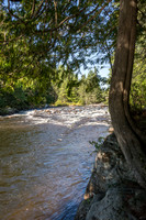 Algonquin Views - 3