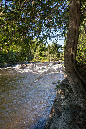 Algonquin Views - 3