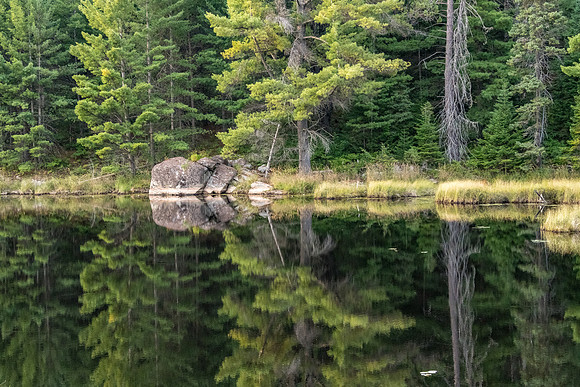 Reflections