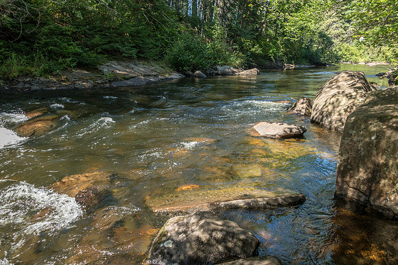 Whiskey Rapids -1