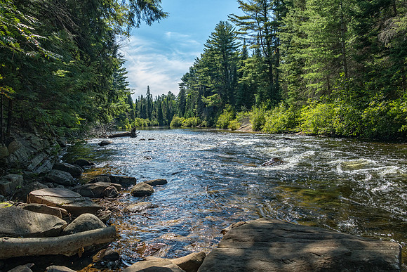 Whiskey Rapids -3