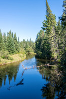 Algonquin National Park