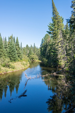 Oxtongue River - 2