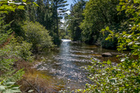Oxtongue River - 4