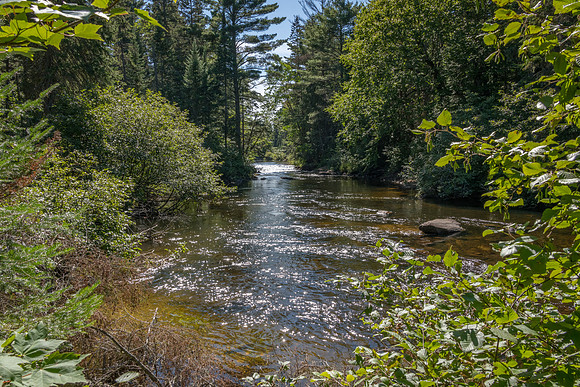 Oxtongue River - 4