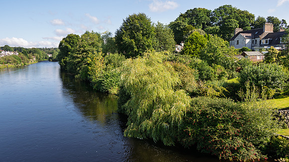 Newton Stewart -9