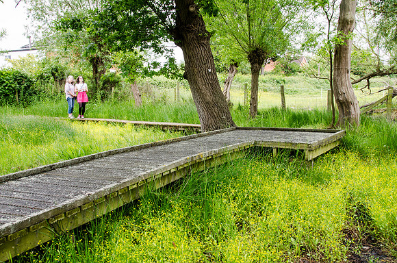 Badgeworth Open Day 2015 - 6